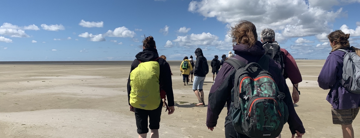 Augenmerk Strand von Hooge