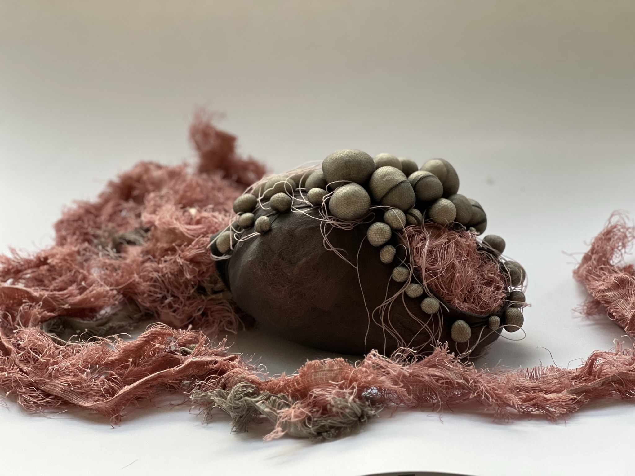 Impulse aus den Fortbildungen